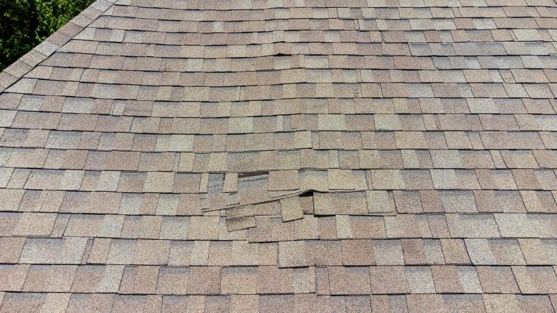 Asphalt Roof Inspection in Deerfield, OH
