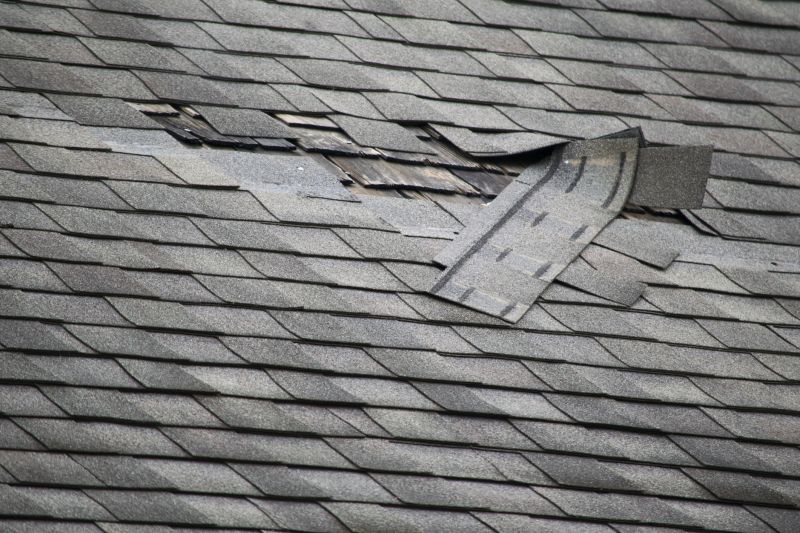 Asphalt Roof Leak Repair in Homeworth, OH