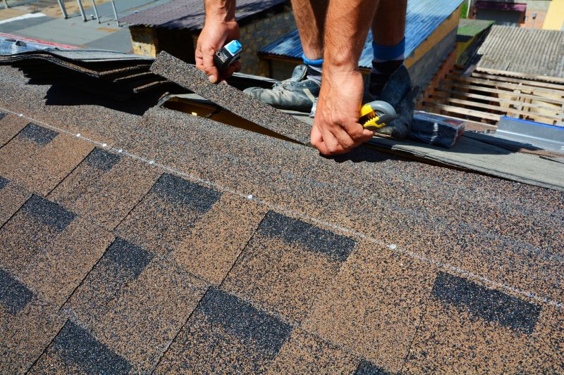 Asphalt Roof Repair in Struthers, OH