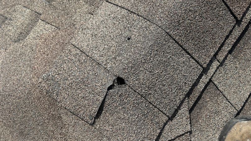 Damaged Roof Repair in Campbell, OH