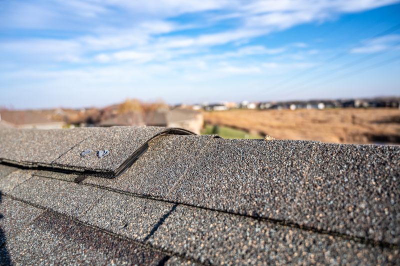 Damaged Roof Repair in Salem, OH