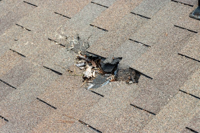 Shingle Roof Replacement in Deerfield, OH