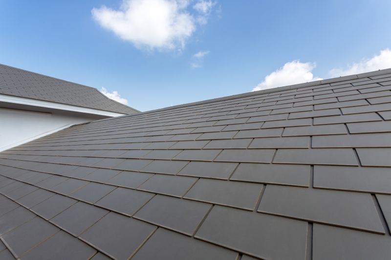 Slate Roofing Service in Mahoning County, OH
