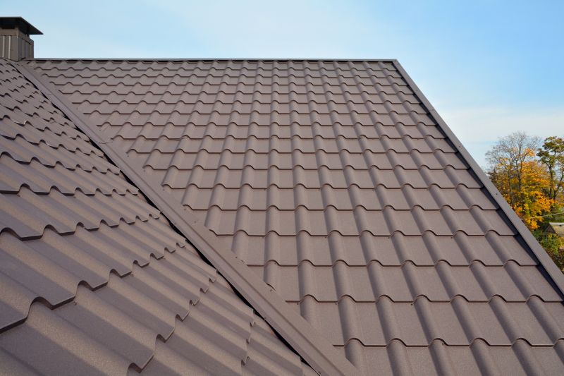 Tin Roof Installation in Trumbull County, OH